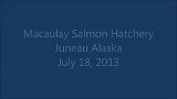 Juneau Salmon Fish Hachery-s