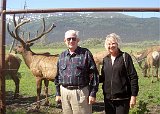 Alaska Trip - Alaska Wildlife Conservation Center - This is a second fellow tourist taken picture of Ed and Lucinda in front of the Roosevelt Elk herd enclosure which the AWCC maintains as part of Watchable Wildlife. Wild Roosevelt Elk in Alaska originated from the transplant of eight calves captured on the Olympic Peninsula of Washington State and moved to one of the Kodiak Islands in 1929. Since it was the middle of July their antlers which are shed and regrown every year are covered in velvet Alaska Trip - Alaska Wildlife Conservation Center