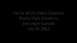 Vancouver Aquarium Dolphin-s